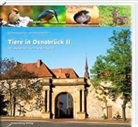 Gerhard Kooiker, Bernhard Volmer, Bernhard Volmer, Bernhard Fotos v. Volmer - Tiere in Osnabrück II
