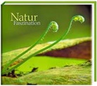 Tecklenborg Verlag - Natur Faszination