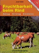 Josef Galler - Fruchtbarkeit beim Rind