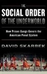 David Skarbek, David (Lecturer Skarbek, Skarbek David - Social Order of the Underworld