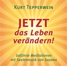 Kurt Tepperwein - JETZT das Leben verändern!, 1 Audio-CD (Audiolibro)