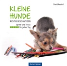 David Keulert - Kleine Hunde richtig beschäftigen