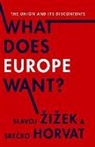 Srecko Horvat, Slavoj i ek, Slavoj Zizek - What Does Europe Want?