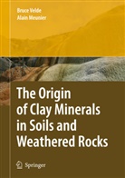 Alain Meunier, Bruce Velde, Bruce B Velde, Bruce B. Velde - The Origin of Clay Minerals in Soils and Weathered Rocks