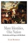 Liam Riordan - Many Identities, One Nation