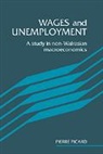 Pierre Picard, Picard Pierre - Wages and Unemployment