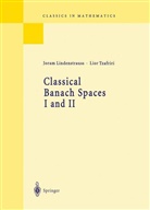Lindenstrauss, J. Lindenstrauss, Jora Lindenstrauss, Joram Lindenstrauss, L Tzafriri, L. Tzafriri... - Classical Banach Spaces I and II