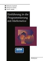 Richard Gaylord, Richard J Gaylord, Richard J. Gaylord, Samuel Kamin, Samuel M. Kamin, Samuel N Kamin... - Einführung in die Programmierung mit Mathematica