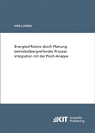 Jens Ludwig - Energieeffizienz durch Planung betriebsübergreifender Prozessintegration mit der Pinch-Analyse