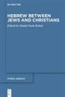 Danie Stein Kokin, Daniel Stein Kokin - Hebrew between Jews and Christians