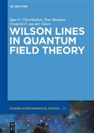 Igor O. Cherednikov, Igor Olegovic Cherednikov, Igor Olegovich Cherednikov, To Mertens, Tom Mertens, Van der V... - Wilson Lines in Quantum Field Theory