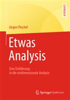 Jürgen Pöschel - Etwas Analysis