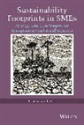 JAMES, Lowellyne James, James Lowellyne, Lowellyne James - Sustainability Footprints in Smes