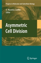 Alvar Macieira-Coelho, Alvaro Macieira-Coelho, A. Maciera-Coelho - Asymmetric Cell Division