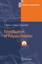 T. Heinze, Thoma Heinze, Thomas Heinze, A. Koschella, Andreas Koschella, T. Liebert... - Esterification of Polysaccharides