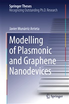 Javier Munárriz Arrieta - Modelling of Plasmonic and Graphene Nanodevices