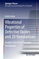 Emilio Scalise - Vibrational Properties of Defective Oxides and 2D Nanolattices
