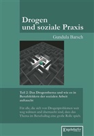 Gundula Barsch - Drogen und soziale Praxis - 2: Das Drogenthema und wie es in Berufsfeldern der sozialen Arbeit auftaucht