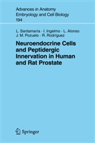 Lucía Alonso, Ildefons Ingelmo, Ildefonso Ingelmo, José Manuel Pozuelo, Rosario Rodríguez, Lui Santamaria... - Neuroendocrine Cells and Peptidergic Innervation in Human and Rat Prostrate