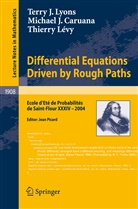 Michael Caruana, Michael J Caruana, Michael J. Caruana, Thierry Lévy, Terry Lyons, Terry J Lyons... - Differential Equations Driven by Rough Paths