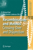Richar Egel, Richard Egel, Lankenau, Lankenau, Dirk-Henner Lankenau - Recombination and Meiosis