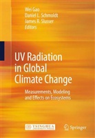 Wei Gao, Daniel L. Schmoldt, James R. Slusser - UV Radiation in Global Climate Change
