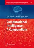 Joh Fulcher, John Fulcher, Lakhmi C. Jain - Computational Intelligence: A Compendium, 2 Teile