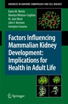 John F. Bertram, Jane M. Black, M Black, M. Jane Black, Georgina Caruana, Kare Moritz... - Factors Influencing Mammalian Kidney Development: Implications for Health in Adult Life