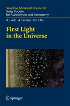 Richard S. Ellis, Andrea Ferrara, Abraham Loeb, Angela Hempel, Denis Puy, Daniel Schaerer - First Light in the Universe