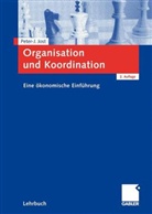Peter Jost, Peter-J. Jost, Peter-Jürgen Jost - Organisation und Koordination