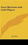 John Neal - Great Mysteries and Little Plagues