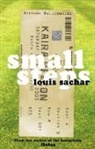 Louis Sachar, Sachar Louis - Small Steps (Audio book)