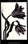 Thomas Hardy - A Mere Interlude