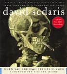 David Sedaris, Author, David Sedaris - When You Are Engulfed in Flames (Hörbuch)