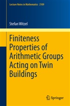 Stefan Witzel - Finiteness Properties of Arithmetic Groups Acting on Twin Buildings