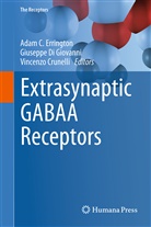 Vincenzo Crunelli, Giusepp Di Giovanni, Giuseppe Di Giovanni, Adam C. Errington - Extrasynaptic GABAA Receptors