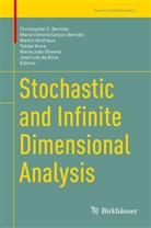 Christopher Bernido, Christopher C. Bernido, Maria Victoria Carpio-Bernido, José Luís da Silva, Martin Grothaus, Mar Grothaus et al... - Stochastic and Infinite Dimensional Analysis