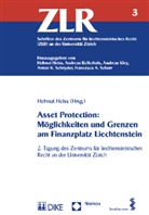 Helmu Heiss, Helmut Heiss - Asset Protection: Möglichkeiten und Grenzen am Finanzplatz Liechtenstein