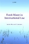Laurence Boisson De Chazournes, Laurence (Professor of International Law Boisson de Chazournes, Laurence Boisson de Chazournes, Laurence Boisson De Chazournes - Fresh Water in International Law
