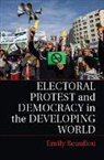 Emily Beaulieu, Emily (University of Kentucky) Beaulieu, Emily A. Beaulieu, Beaulieu Emily - Electoral Protest and Democracy in the Developing World