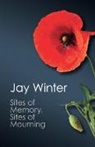 Dr Jay Winter, Jay Winter, Jay (Pembroke College Winter - Sites of Memory, Sites of Mourning