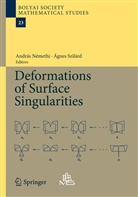 Andra Némethi, Andras Némethi, Szilárd, Szilárd, Agnes Szilárd - Deformations of Surface Singularities