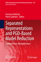Francisc Chinesta, Francisco Chinesta, Ladevèze, Ladevèze, Pierre Ladevèze - Separated Representations and PGD-Based Model Reduction