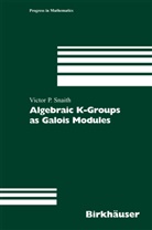 Victor P Snaith, Victor P. Snaith - Algebraic K-Groups as Galois Modules