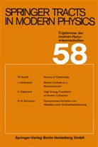 K u a Dettmann, K. Dettmann, Feitknecht, J Feitknecht, J. Feitknecht, Kundt... - Springer Tracts in Modern Physics