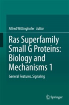 Alfre Wittinghofer, Alfred Wittinghofer - Ras Superfamily Small G Proteins: Biology and Mechanisms 1