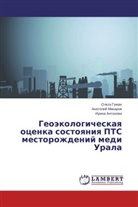 Irina Antonova, Irina Antonowa, Ol'ga Guman, Anatoliy Makarov, Anatolij Makarow - Geoekologicheskaya otsenka sostoyaniya PTS mestorozhdeniy medi Urala