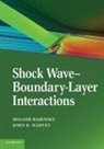 Holger (University of Cambridge) Harvey Babinsky, Holger Harvey Babinsky, Holger Babinsky, John K. Harvey - Shock Wave-Boundary-Layer Interactions