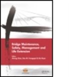 Airong (Department of Bridge Engineering Chen, Airong Frangopol Chen, Airong Ruan Chen, Airong Chen, Airong (Department of Bridge Engineering Chen, Chen Airong... - Bridge Maintenance, Safety, Management and Life Extension