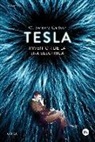 W. Bernard Carlson - Tesla : inventor de la era eléctrica